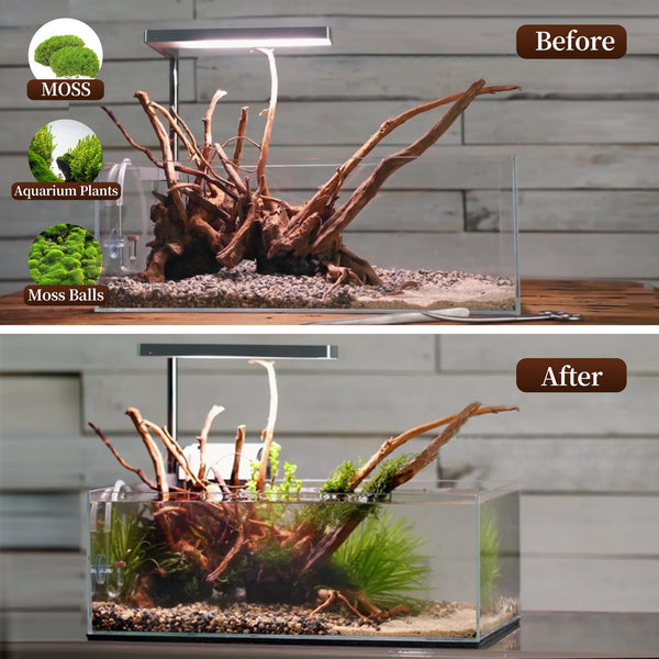 majoywoo madera arana para acuario, facilita crear musgos y estructuras naturales.