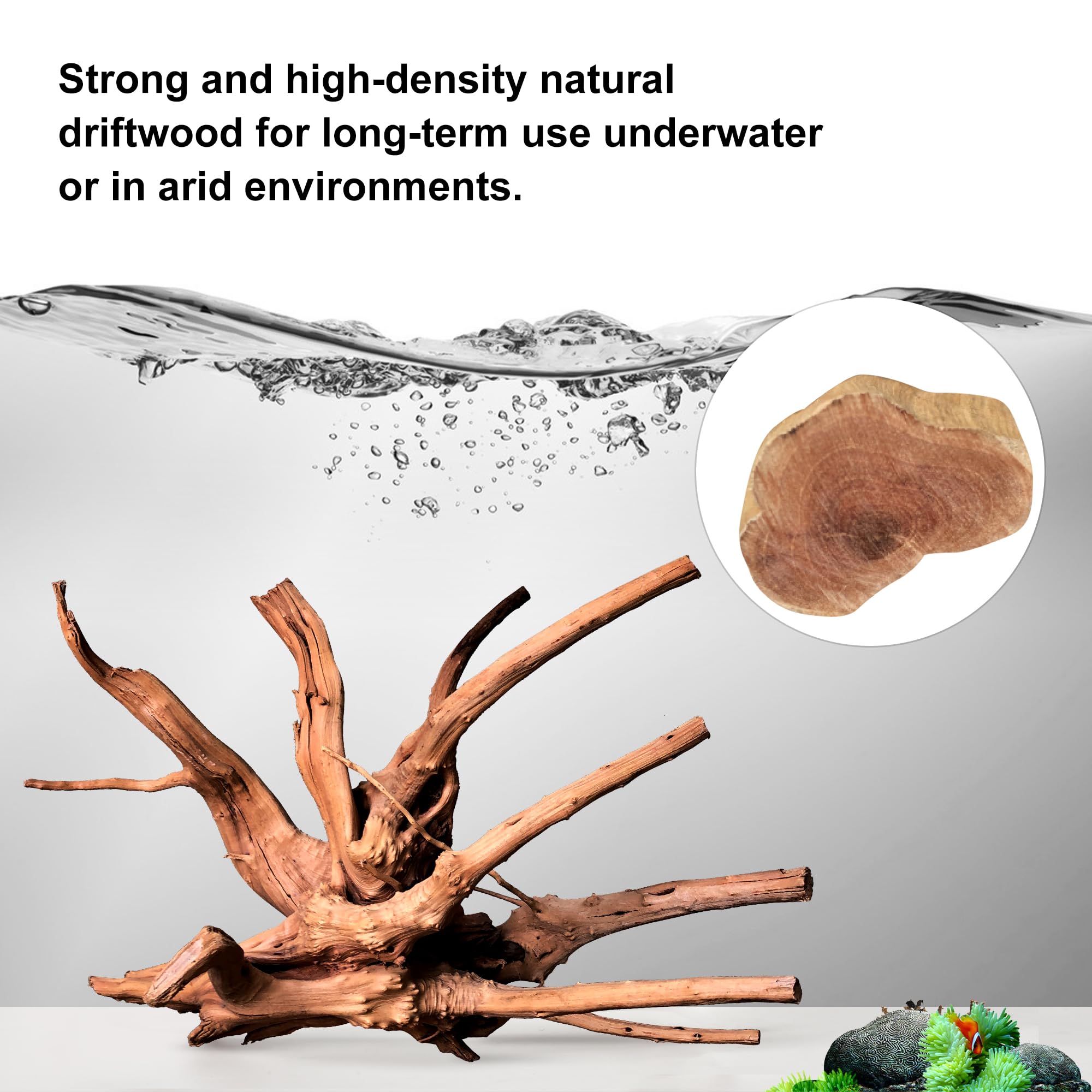 majoywoo madera arana para acuario, resistente y apta para uso prolongado.