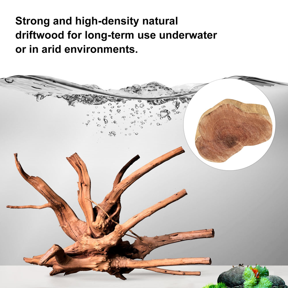 majoywoo madera arana para acuario, resistente y apta para uso prolongado.