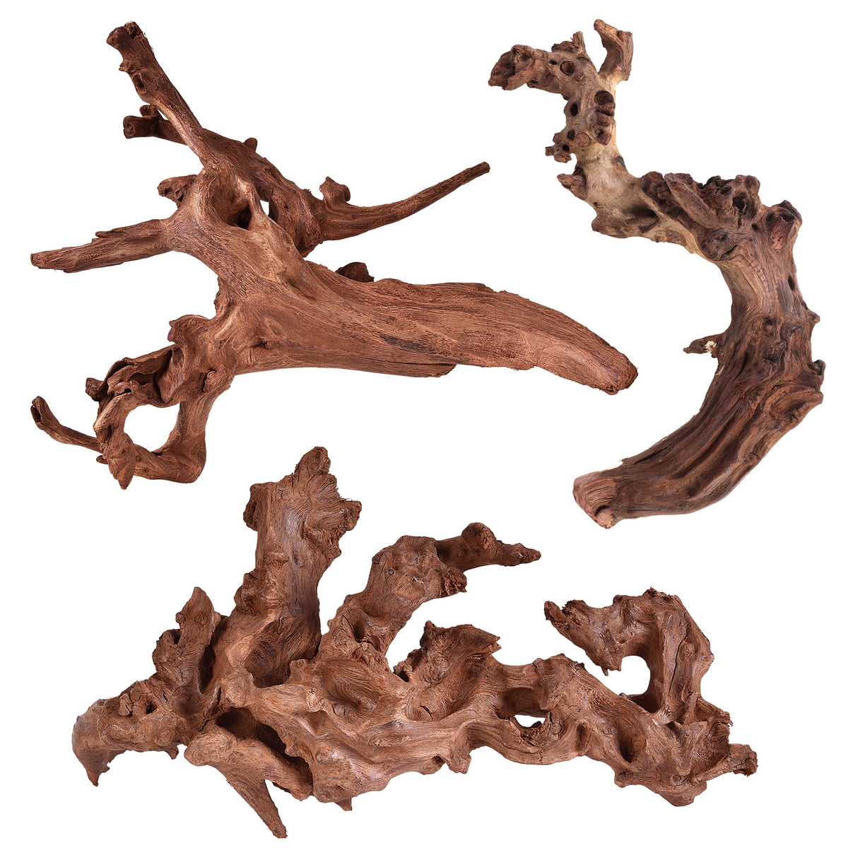 Majoywoo madera de deriva natural, ramas 6-10 pulgadas, aporta belleza natural al acuario.