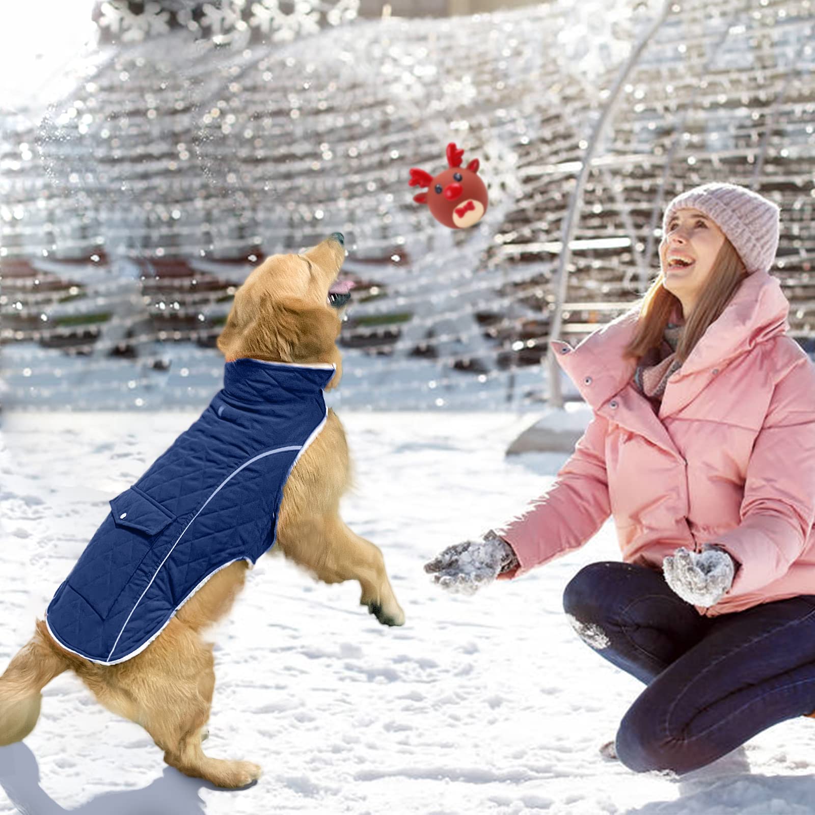 Malier abrigo de perro invierno, cierre sencillo en azul.