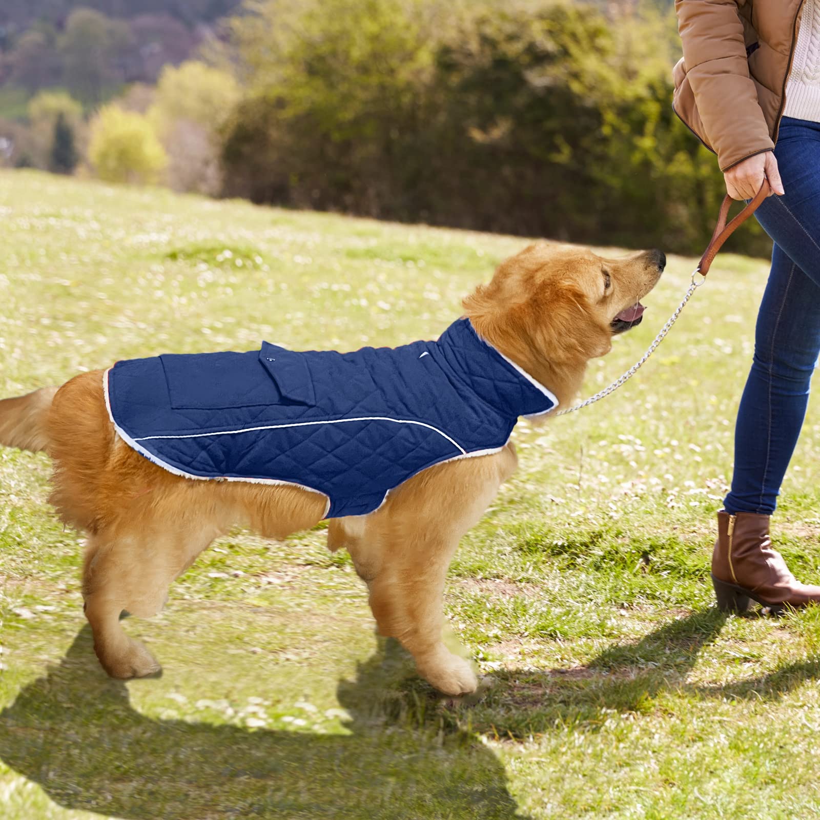 Malier abrigo para perro, interior suave en azul.