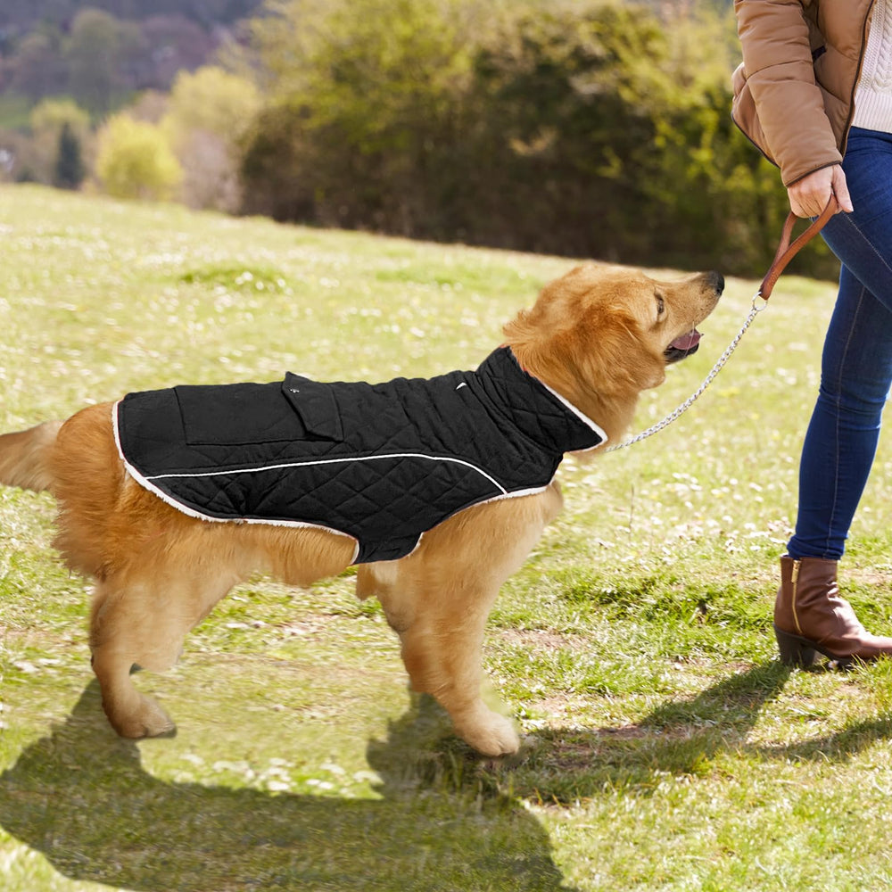 Malier chaqueta de invierno para perro, disponible en varias tallas para distintos tamaños