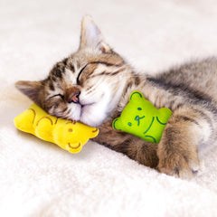 Regalo ideal MALLMALL6 para gatos adultos y gatitos curiosos.