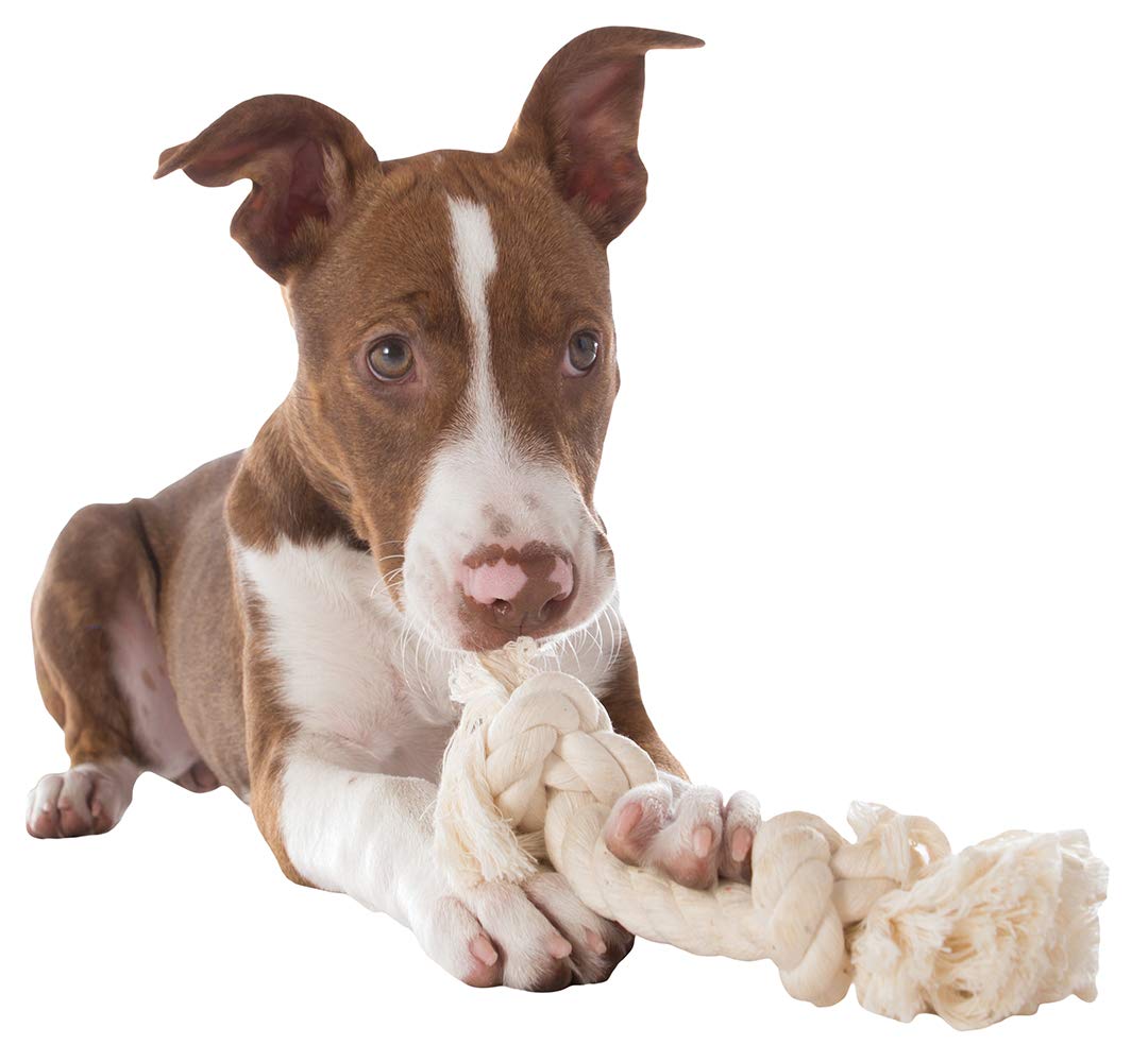 Cuerda blanca resistente Mammoth Flossy Chews para juego de tirar.