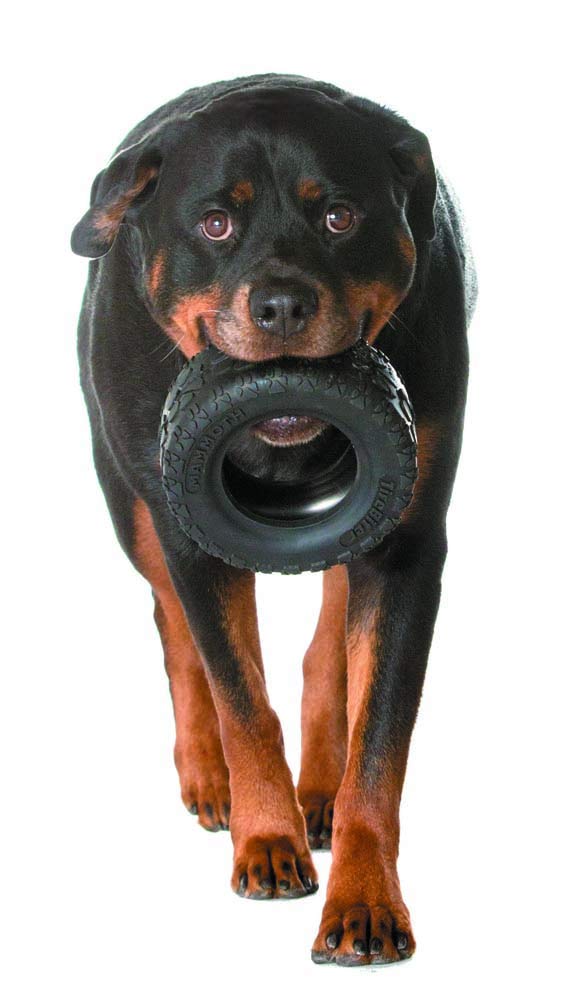 Mammoth TireBiterII: tamaño XL 7 pulgadas, perfecto para perros de más de 36 kg.