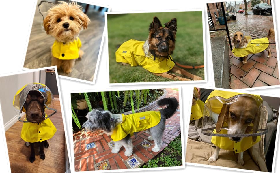 Ajuste de patas elastico en la capa impermeable Mamore