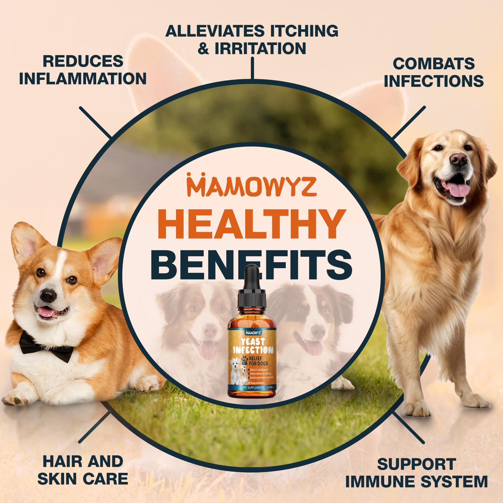 MAMOWYZ mezcla fácil en comida o agua para conveniencia diaria.