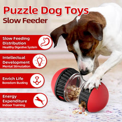 Mankoda entrenamiento de inteligencia para perros, fomenta olfato y movimiento.