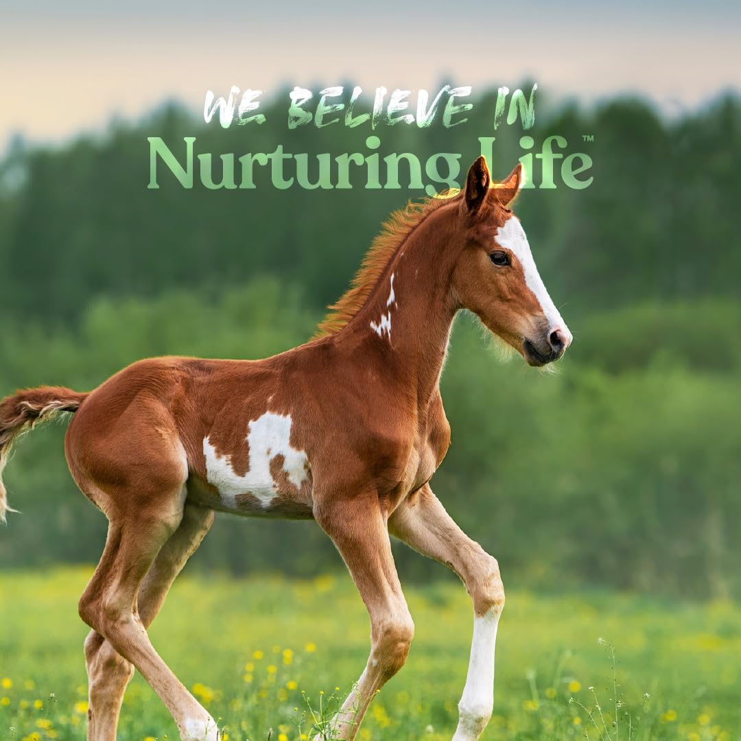 Manna Pro Nurse All, nutrición para digestión saludable y crecimiento.
