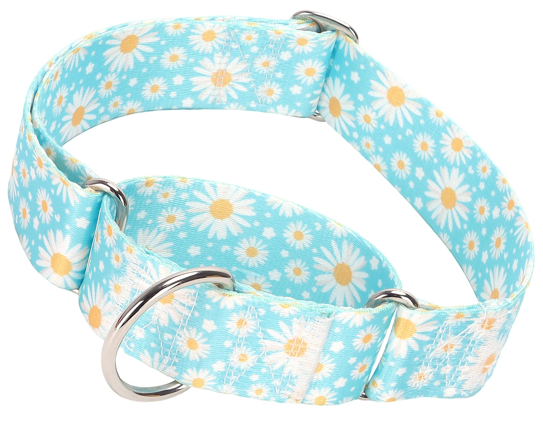 Collar martingala MAOWUWUJOZ 1,5 pulgadas azul daisy, ideal para paseos.