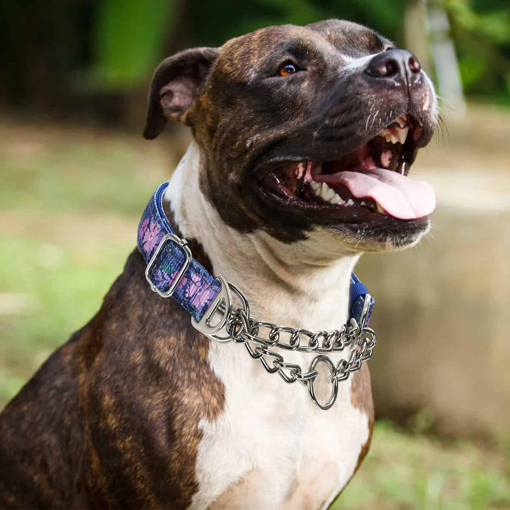 MAOWUWUJOZ collar con dos anillos en D para entrenamiento y uso diario.
