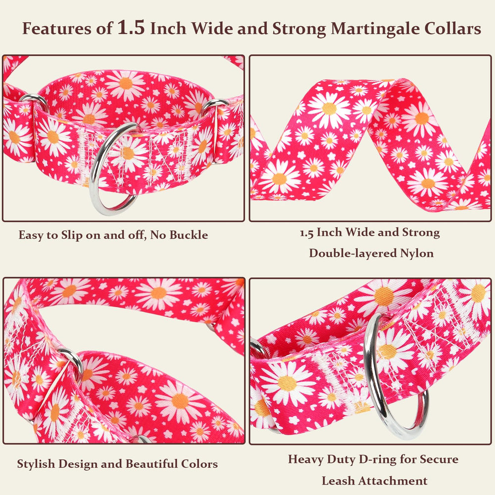 MAOWUWUJOZ collar martingale daisy rosa fucsia, cierre resistente ideal para entrenamiento diario.