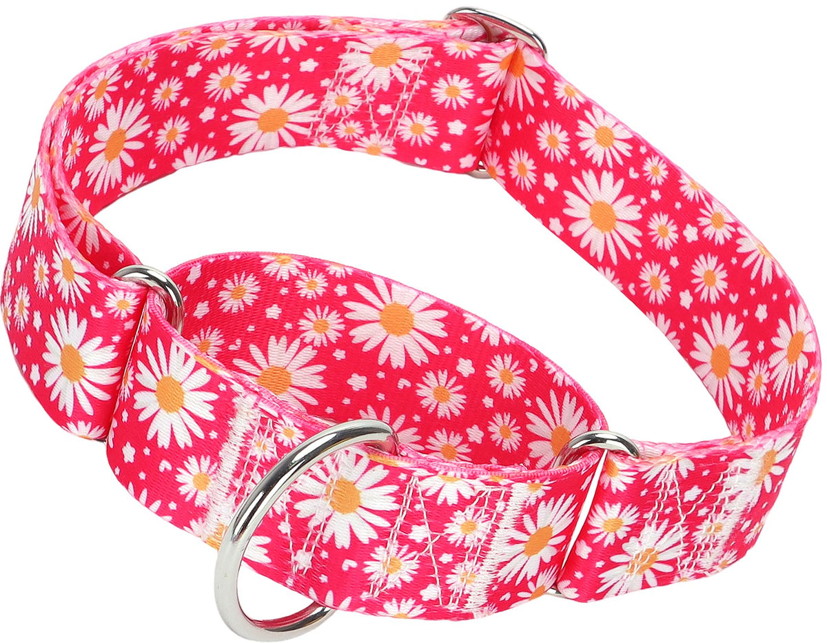 MAOWUWUJOZ collar martingale daisy rosa fucsia, vista frontal para control suave en paseos.