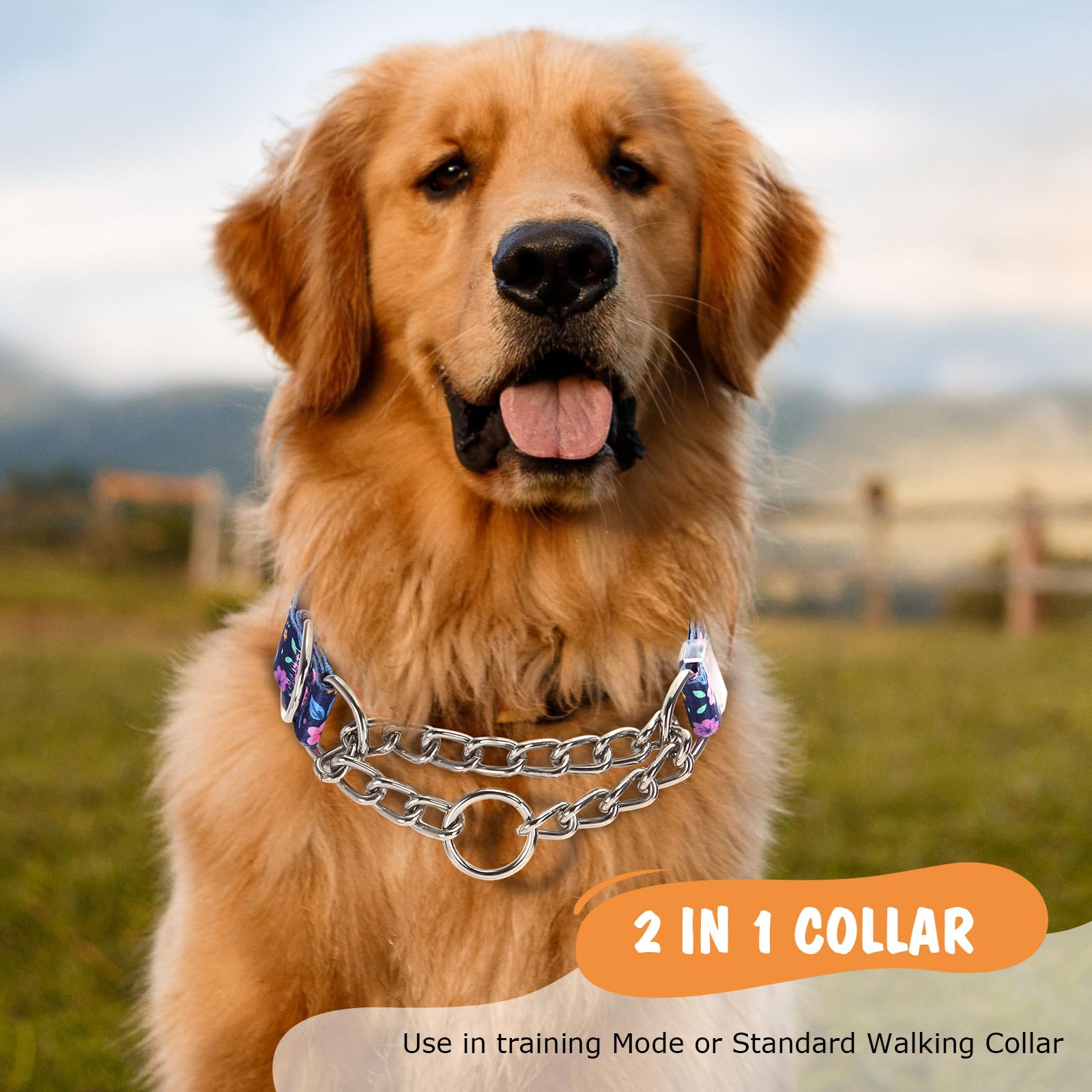 MAOWUWUJOZ collar no-pull resistente, ideal para paseos y entrenamiento progresivo.