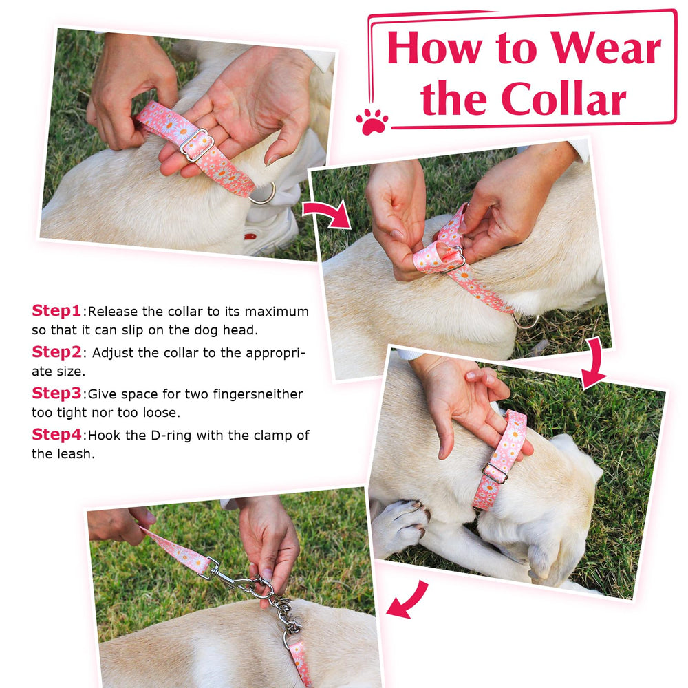 MAOWUWUJOZ collar talla mediana, ajuste de dos dedos, paseo sin tirones.