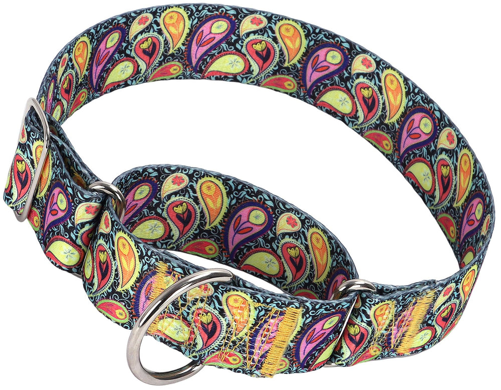 MAOWUWUJOZ collar martingale 1,5 pulgadas para paseos seguros en perros grandes.