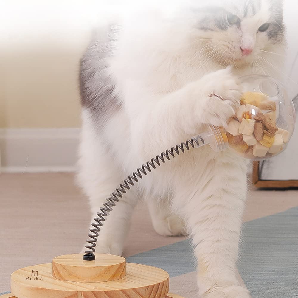 Marchul juego para varios gatos, entretenimiento compartido