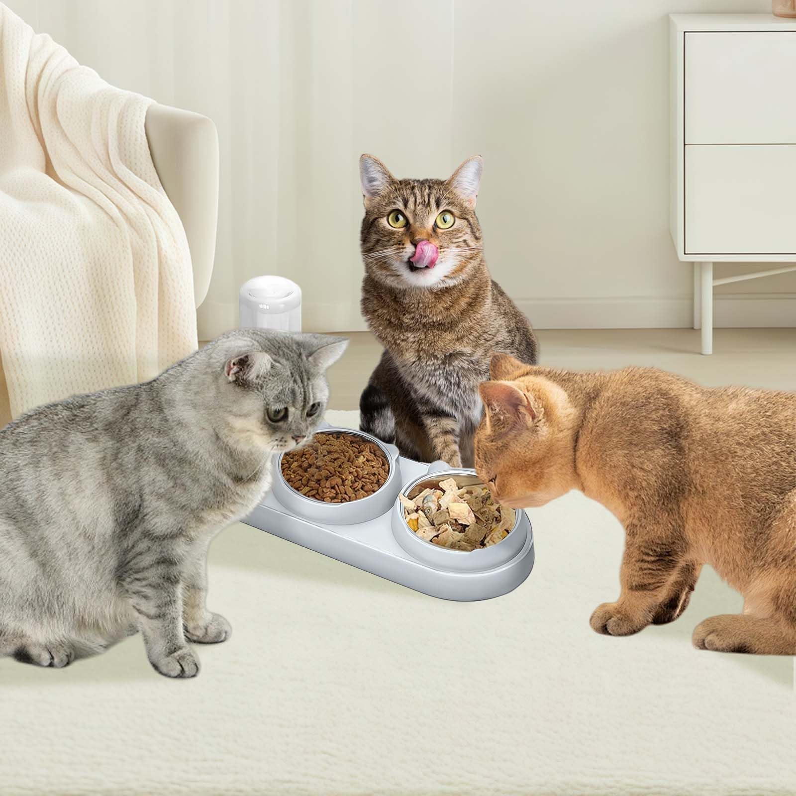 Marchul uso diario para gatos y perros pequeños: práctico y cómodo.