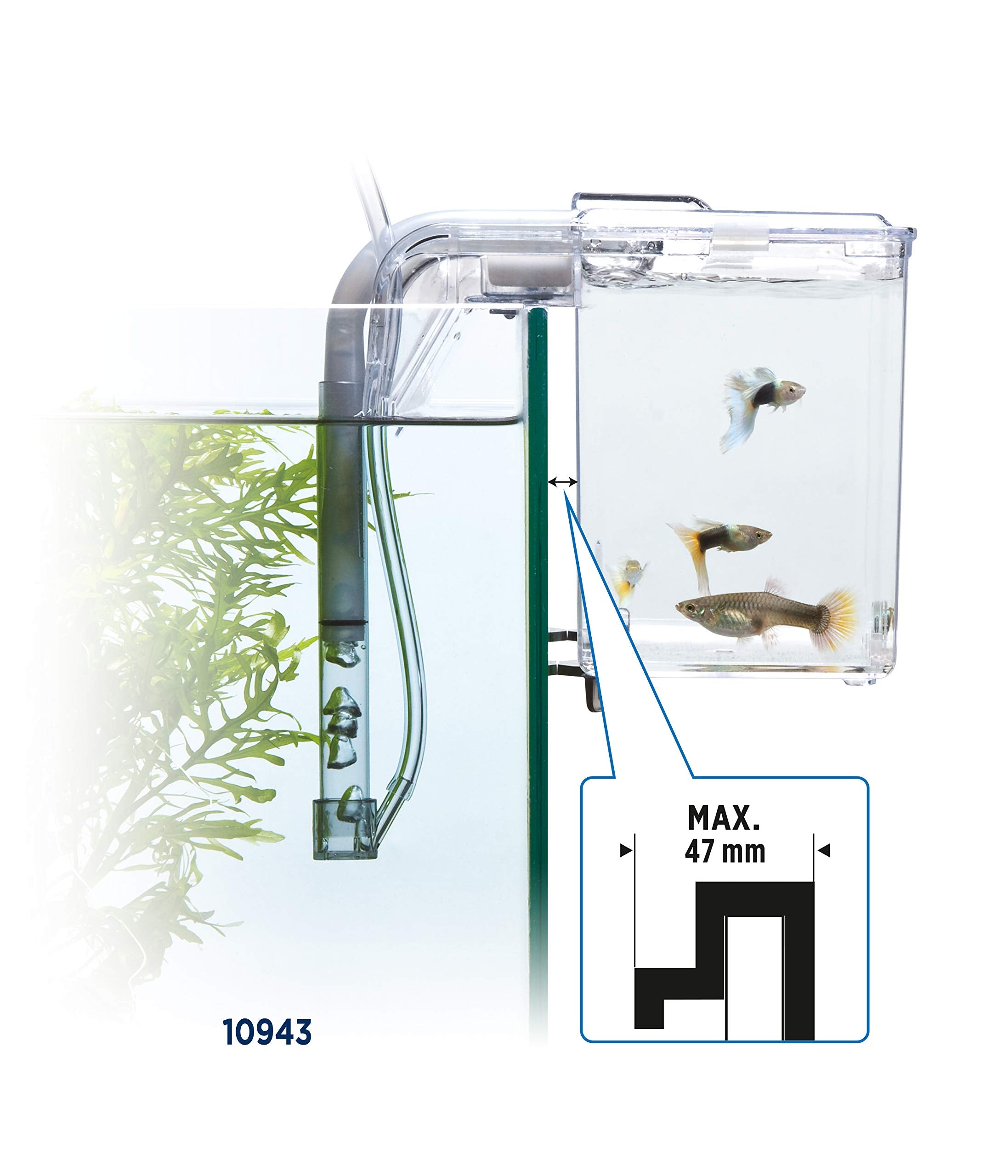 Marina Fluval capacidad 0,5 gal para cría segura