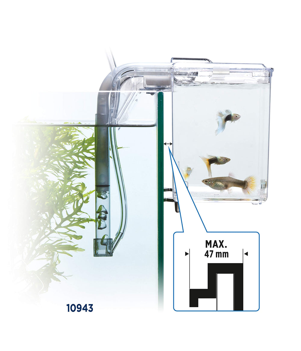 Marina Fluval capacidad 0,5 gal para cría segura