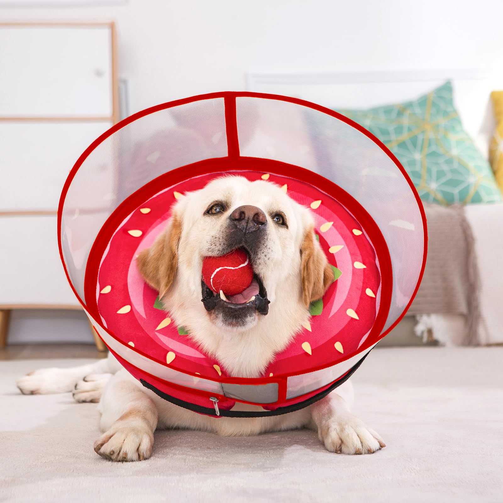 Visión clara para el perro gracias al diseño ligero del collar inflable