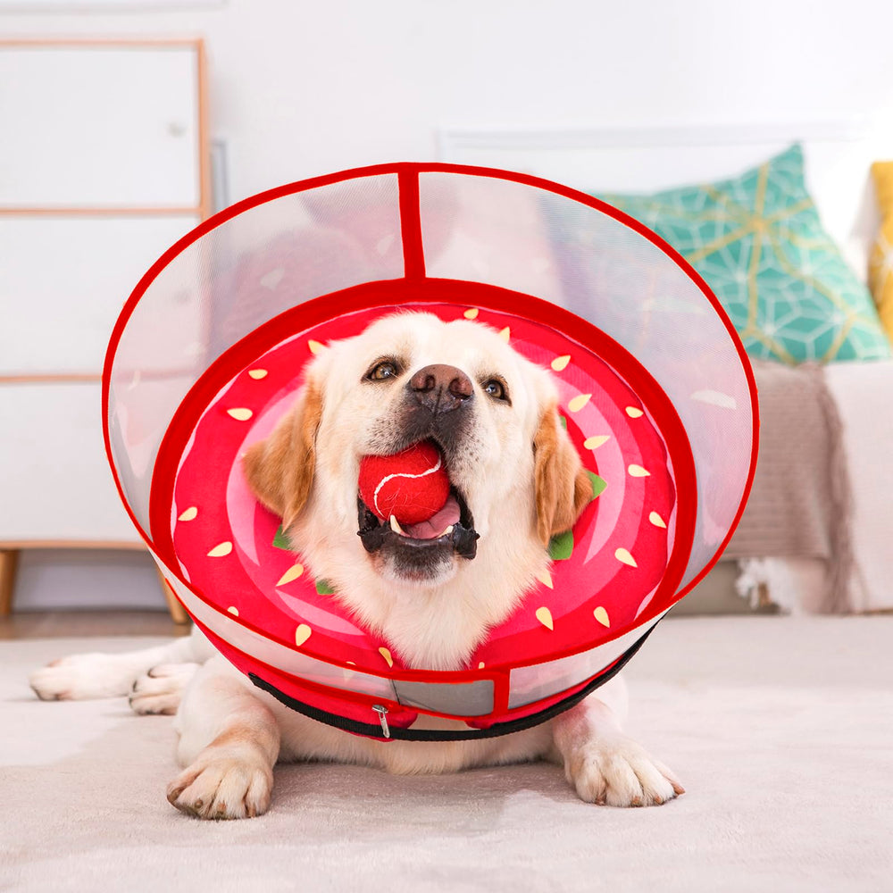 Visión clara para el perro gracias al diseño ligero del collar inflable
