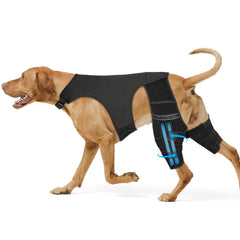 Marnonsis ferula rodilla perro trasera con soporte metálico para recuperación.