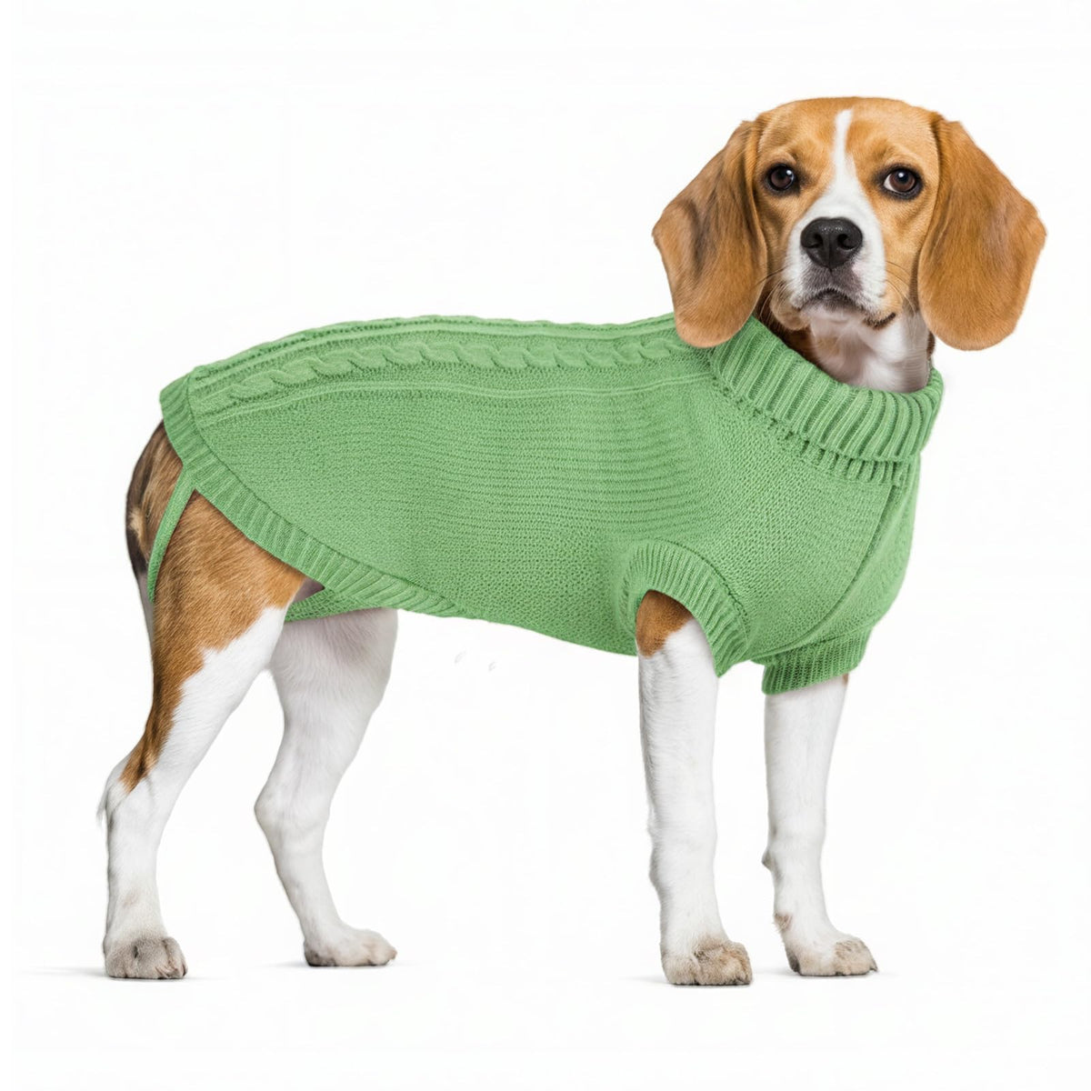 Marnonsis suéter para perro, frente, ideal para paseos fríos.