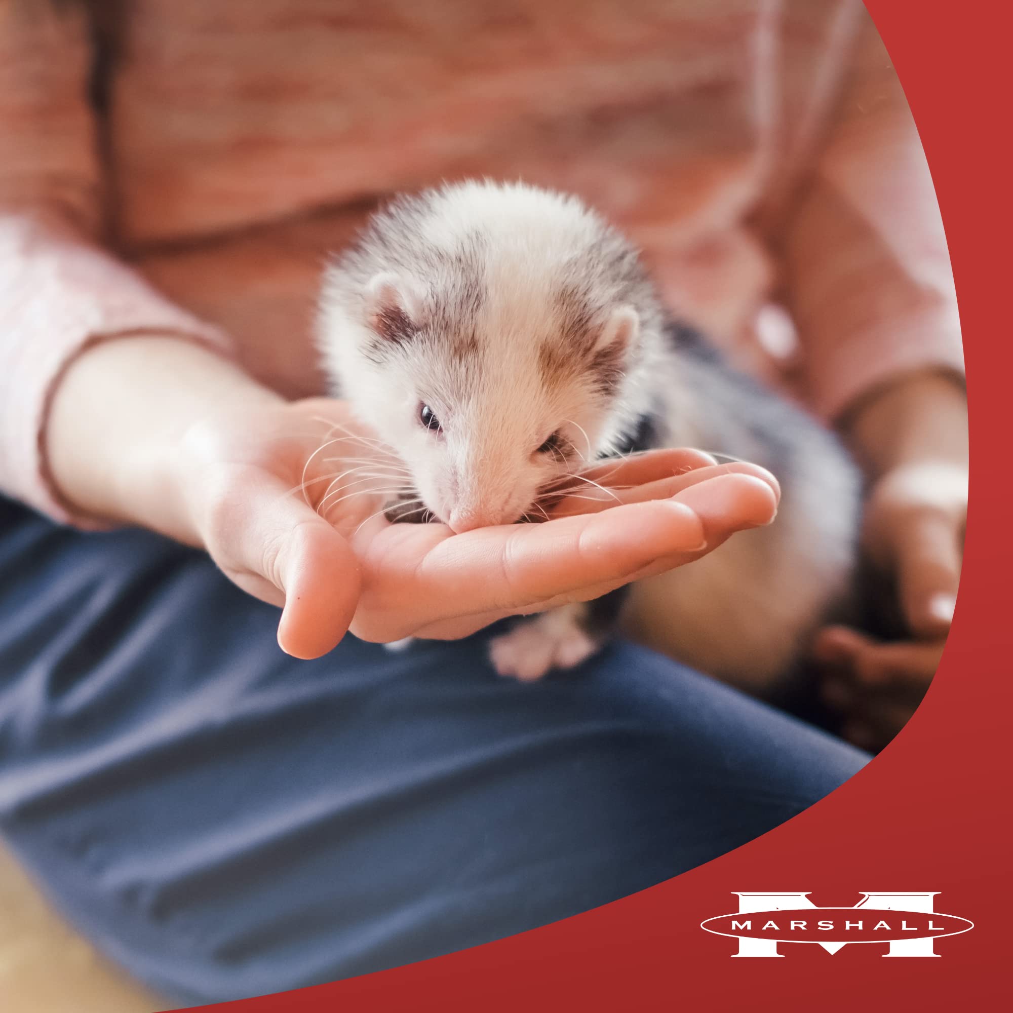 Marshall Pet Ferret Premium Diet 6lb, ingredientes de calidad, favorece un pelaje suave.