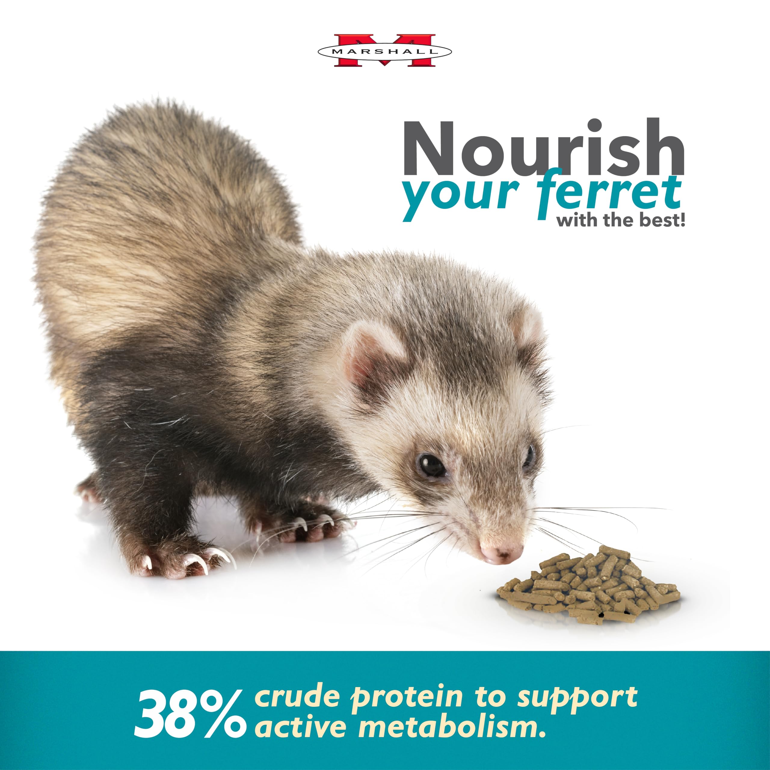 Marshall Pet Products Select Chicken Ferret Diet ingredientes-clave, balance nutricional para hurones activos.
