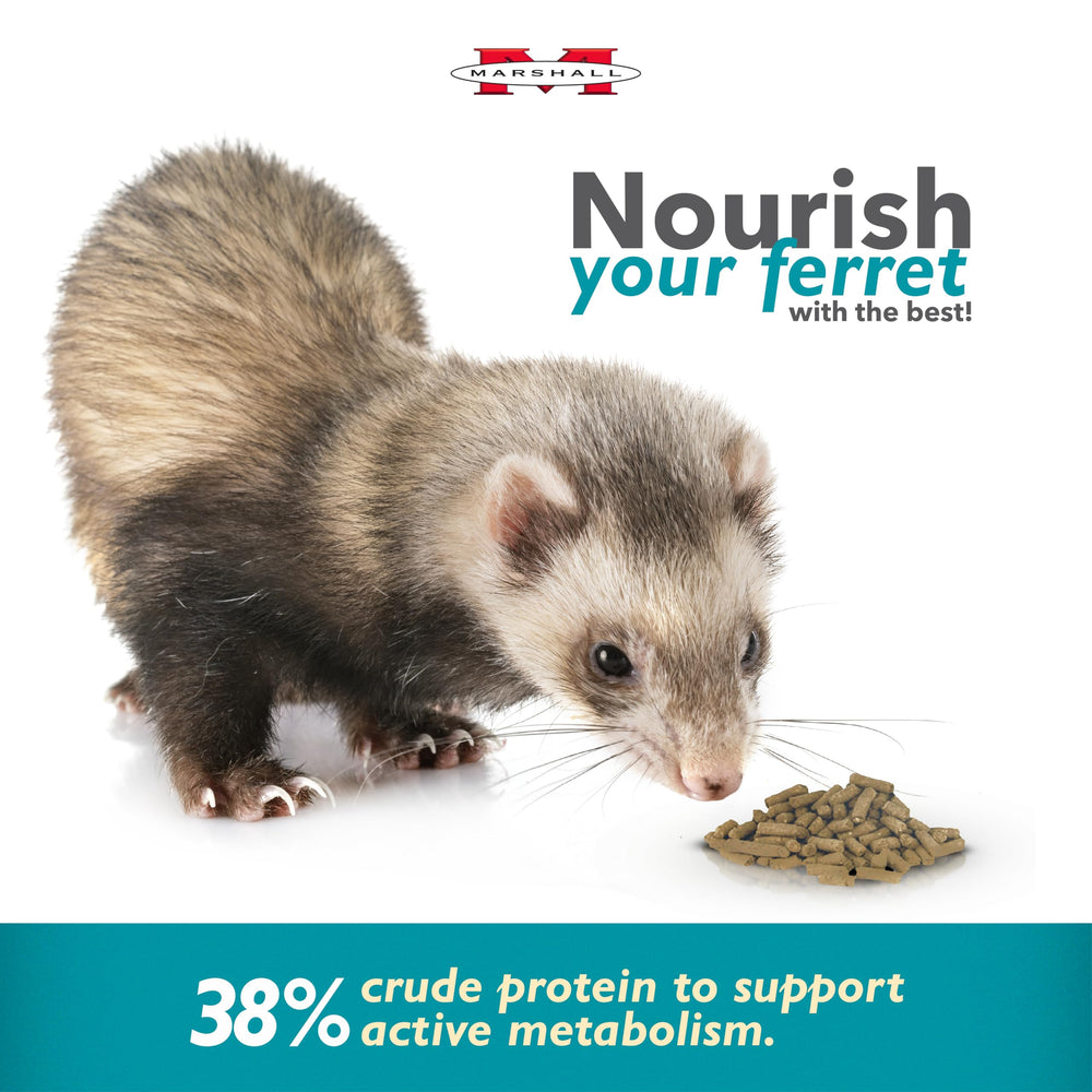 Marshall Pet Products Select Chicken Ferret Diet ingredientes-clave, balance nutricional para hurones activos.