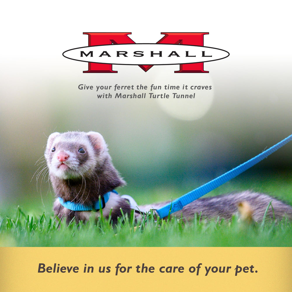 Marshall Pet Turtle Tunnel crea un ambiente de juego estimulante para mascotas.