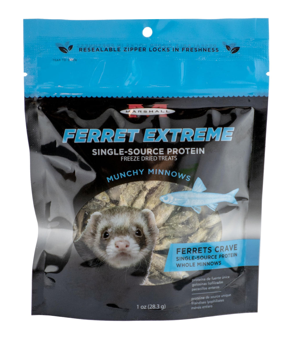 Marshall Ferret Extreme con pececillo frío: recompensa sabrosa para entrenamiento de hurones
