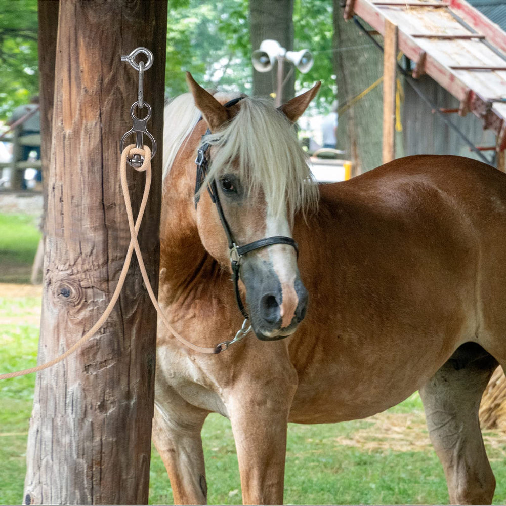 Martx bloqueadora para caballos: diferentes formas de atar para mayor control.