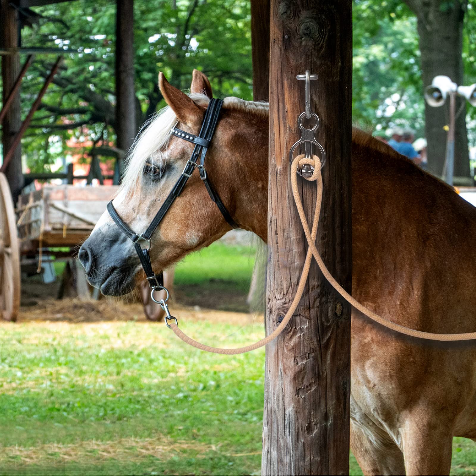 Martx bloqueadora para caballos: remolques, reducción de tirones y estrés.