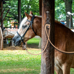 Martx bloqueadora para caballos: remolques, reducción de tirones y estrés.