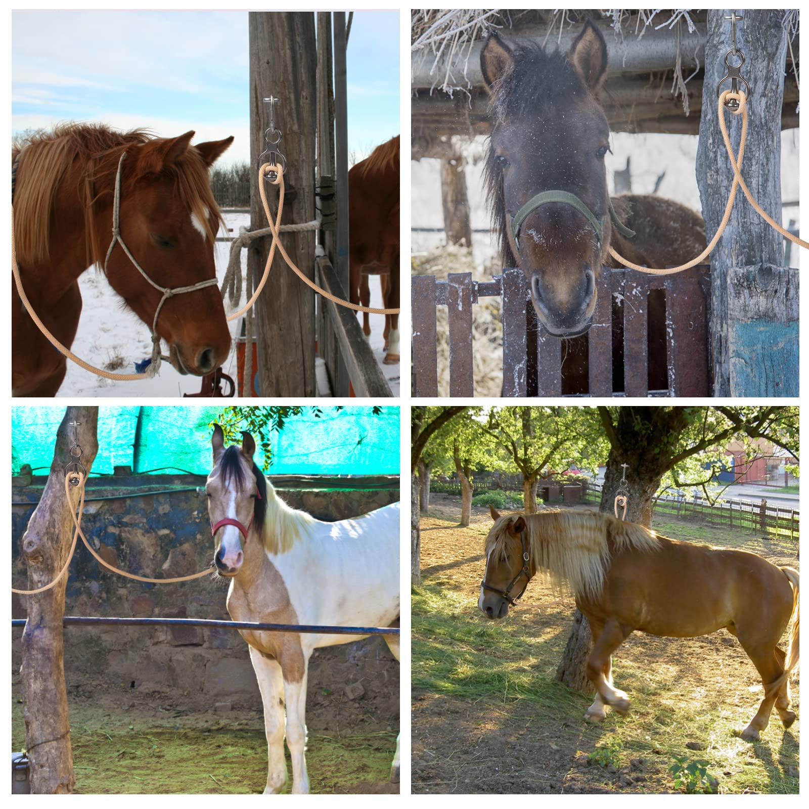 Martx bloqueadora para caballos: seguridad al trabajar y menos tirones.