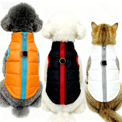 MaruPet chaleco negro para perro pequeño, perfecto para salidas invernales.
