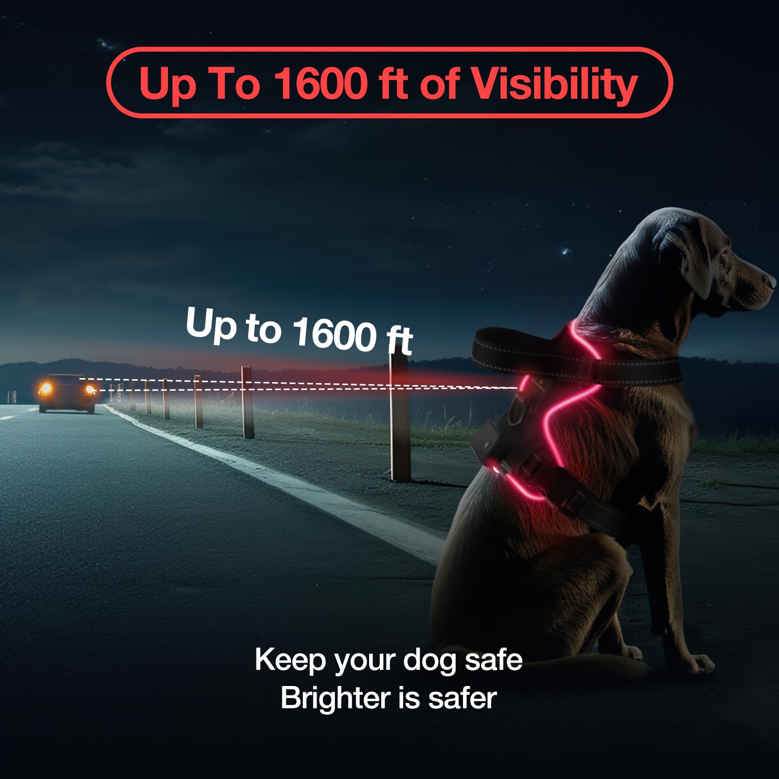 MASBRILL arnés luminoso, talla ajustable, compatible con perros pequeños, medianos y grandes.