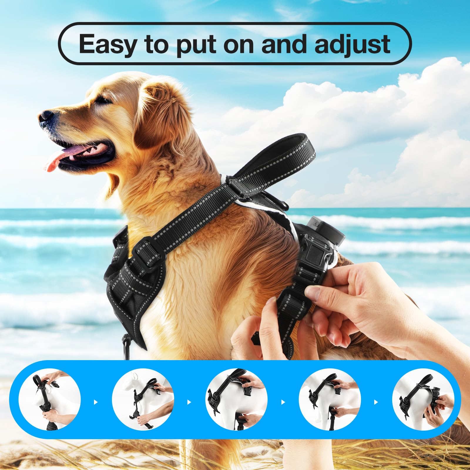 Masbrill ofrece tallas para perros pequeños, medianos y grandes.