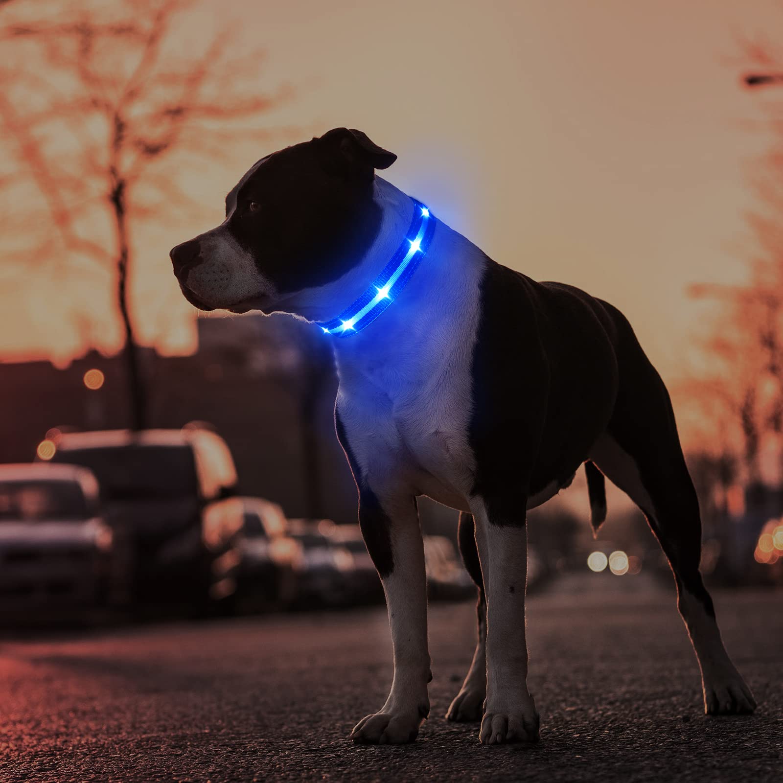MASBRILL collar iluminado de poliéster suave, ideal para camping.