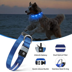 MASBRILL collar iluminado con tres modos, mejor seguridad nocturna.