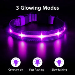 MASBRILL collar LED, batería recargable de 250 mAh para sesiones largas.