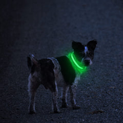 Masbrill LED Collar carga-usb para uso continuo sin baterías