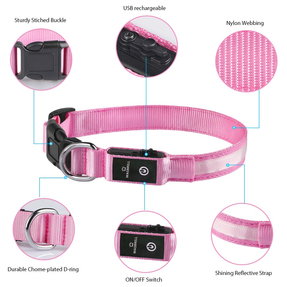 MASBRILL collar LED en la noche para paseos seguros