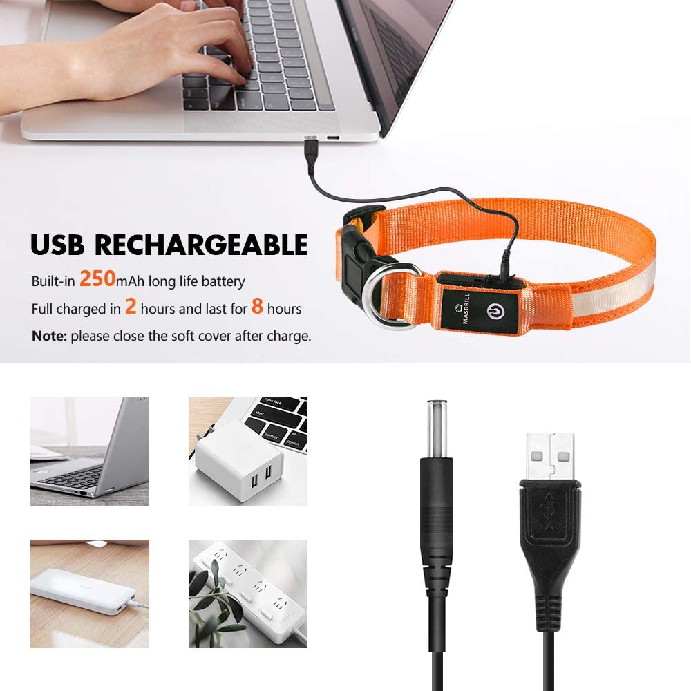 MASBRILL collar LED es impermeable y duradero para cualquier clima.
