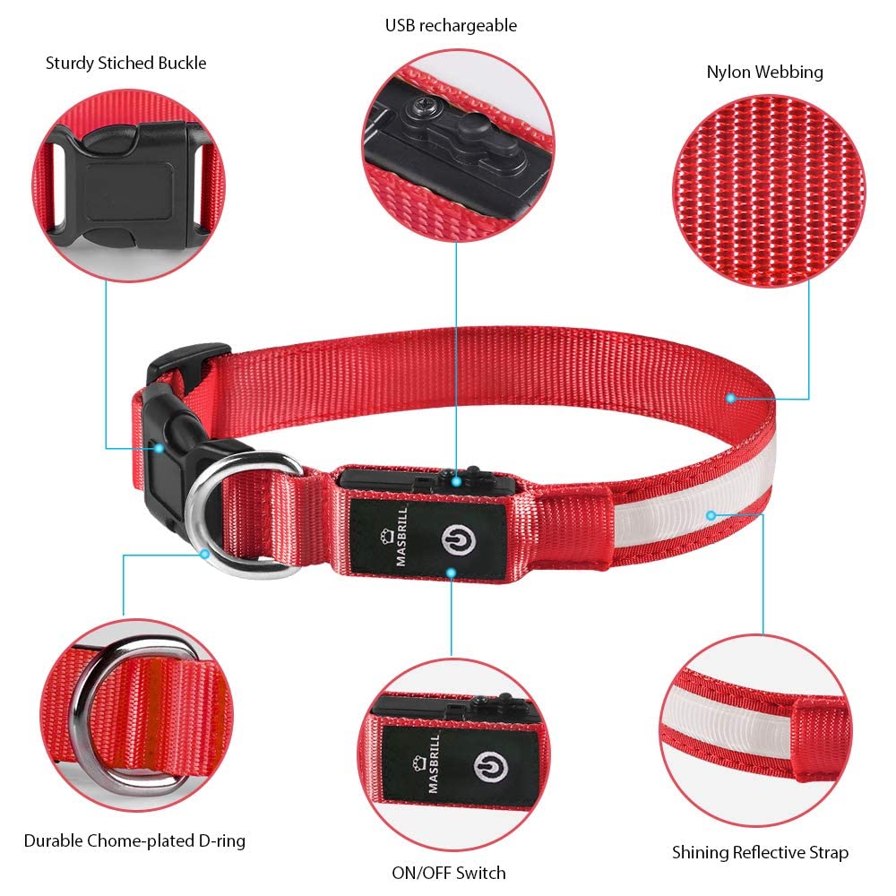 Collar MASBRILL LED resistente al agua para cualquier clima.