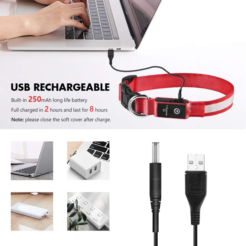 Collar MASBRILL LED con ajuste rápido y cómodo para distintos tamaños.
