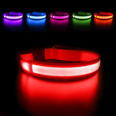 Collar MASBRILL LED para perros con luz frontal para máxima visibilidad nocturna.
